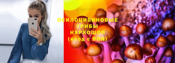 дживик Волоколамск